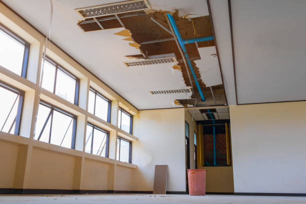 Best Ceiling water damage repair  in Fremont, IN