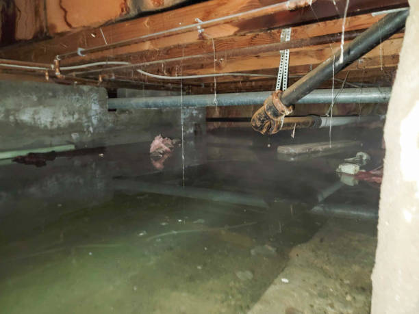 Best Water damage restoration near me  in Fremont, IN