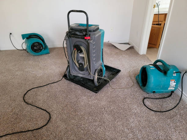  Fremont, IN Water damage restoration Pros