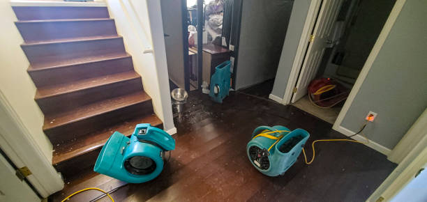 Best Mold removal after water damage  in Fremont, IN