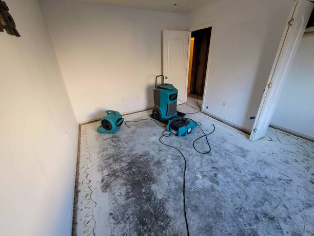 Best 24/7 water damage repair  in Fremont, IN