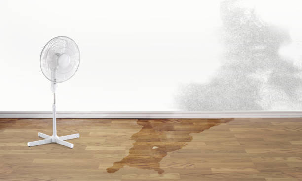 Best 24/7 water damage repair  in Fremont, IN