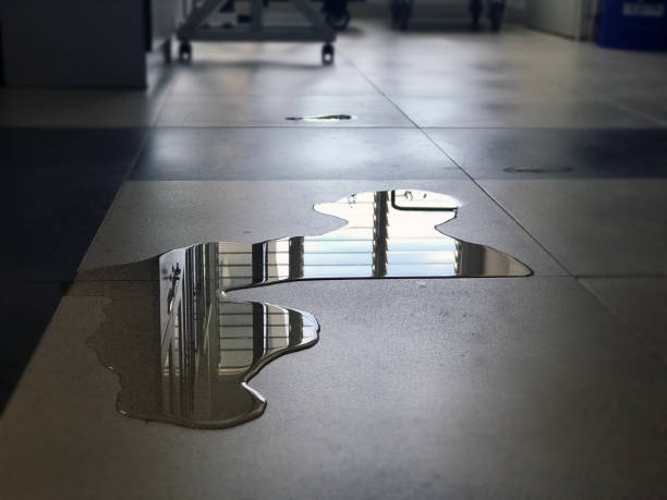 Best Emergency water damage restoration  in Fremont, IN