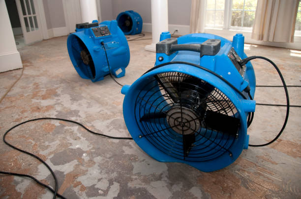 Best Water damage mitigation services  in Fremont, IN