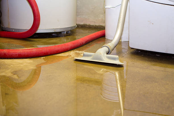 Best Water damage restoration cost  in Fremont, IN