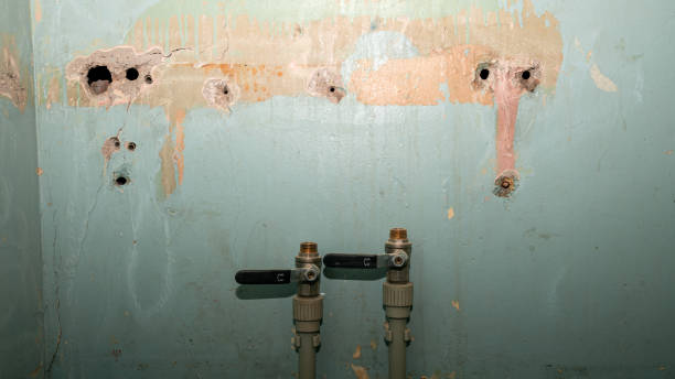 Best Water damage restoration mold remediation  in Fremont, IN