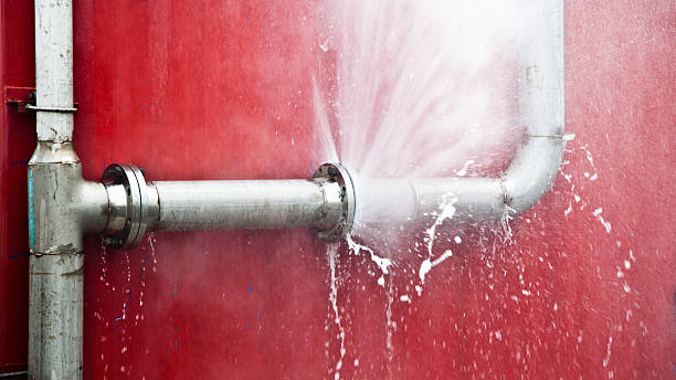 Best Water damage restoration services  in Fremont, IN
