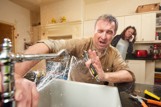 Best Flood restoration services  in Fremont, IN